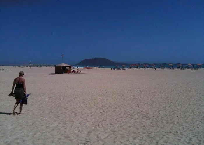 Mi Casa Su Casa * La Oliva