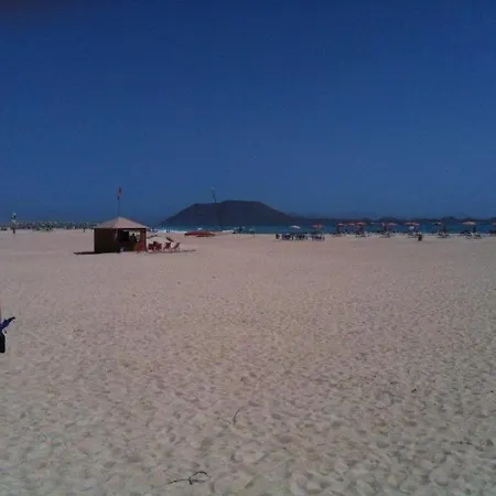 Mi Casa Su Casa * لا أوليفا